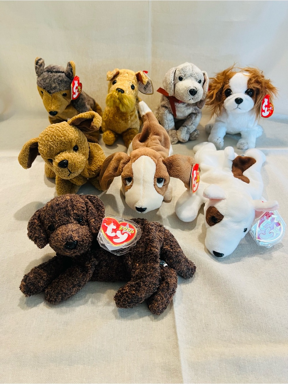 Vintage Rare Ty Beanie Baby Dog Bundle